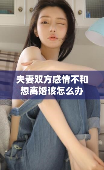 夫妻双方感情不和想离婚该怎么办